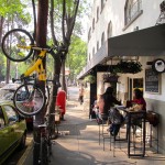 Leavy avenue and the obligatory hipster bike